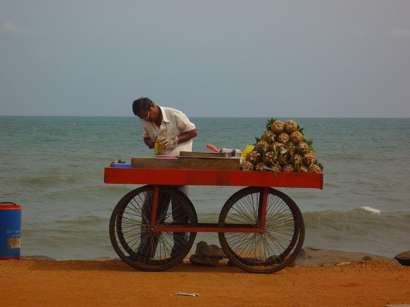 a-fruit-vendor.JPG