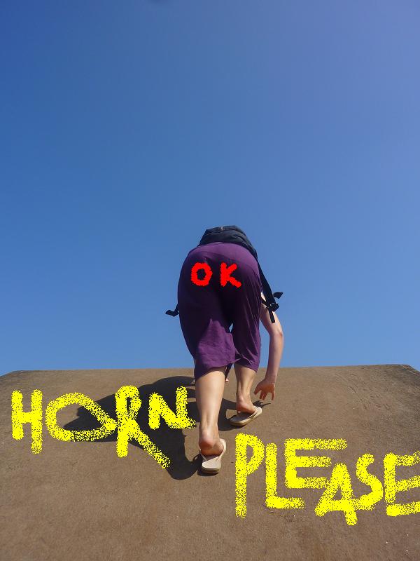 horn-ok-please-2.JPG